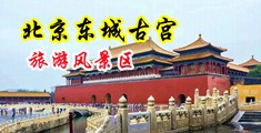 性孕妇嫩B中国北京-东城古宫旅游风景区